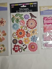 (6) DIMENSIONAL PAISLEY FLOWERS STICKERS LOT OF 6 PACKS BY MISS ELIZABETH’S