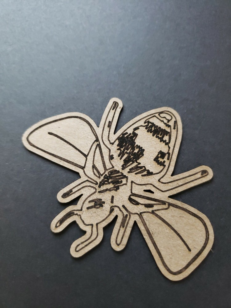 Chipboard Scrapbooking laser scored and cut die cut embellishments Bee #1