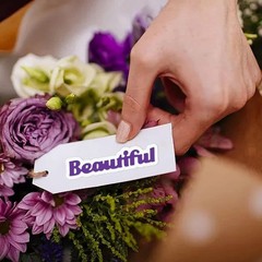27-Piece Sentiment Words Metal Die Cuts for Creative Card Making & Scrapbooking