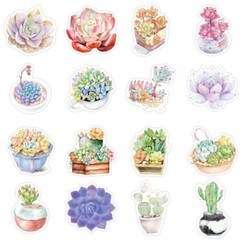50pcs Succulent Stickers, Plants leaf flower Cactus Houseplant Stickers, 227