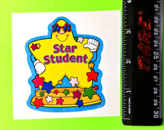 Vintage Carson Dellosa Star Student Large Sticker