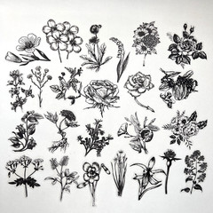 Botanical Flower Vellum Stickers 60 pcs Black White Junk Journaling Collage