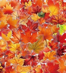 40pc Autumn Fall Foliage Sticker Pack PET Leaves Ephemera Journal Scrapbook