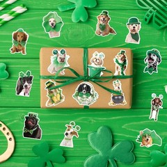 St. Patrick’s Day Sticker Rolls – 1000PCS Irish Shamrock Holiday Dog Stickers…