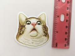 50 Pcs Cat Stickers Kitty Animal Cute Sticker Kids Boys Girls