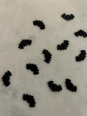 200 Halloween Black Bat DIE CUTS PUNCHES CONFETTI Stamping Up Glitter