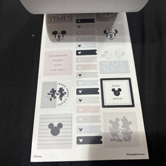 The Happy Planner Disney Mickey Mouse & Minnie Mouse Value Pack 655 pieces!