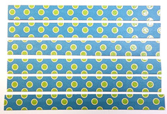 6pc Green Glitter Dots Blue Background 6″ Borders K&Company Cardstock Stickers