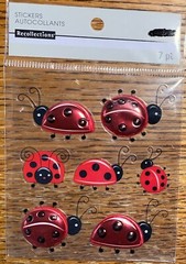 RECOLLECTIONS Red Ladybugs Repeats Lady Bugs Polka Dots 3D Scrapbook STICKERS