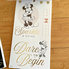 The Happy Planner – Disney – Mickey and Minnie Mouse Calendar Stickers