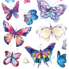 Violette Stickers – Watercolor Butterfly – 1 Sticker Sheet for Scrapbooking