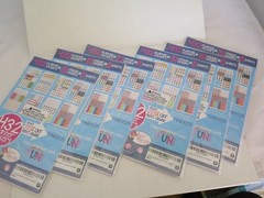 Denise Albright Studio 432 Planner Stickers Every Gal Collection – Lot of 6 – o5