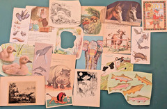 LOT 100 pc Vtg Animals Birds Book Plates Ephemera Pack Junk Journal Scrapbooking