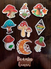 STICKERS x 10 Shrooms Positive Be A Nice Human Moon Mushrooms Frog FEBF6