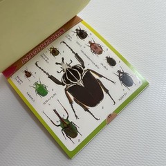 Beetle and Stag Beetle Japanese Stickers book 275 Stickers Shogakkan Neo JP