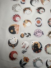 50 CNT Moon Phase Sticker Lot Witchy Celestial Cat Floral Mystical Collection