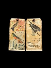 In The Land of Elsewhere Tags Mixed Lot Junk Journaling Crafting Gifts 6.25”x3”