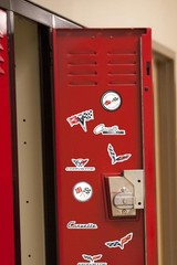 CHEVROLET CORVETTE VARIETY DIE CUT VINYL 50 CT STICKER PACK