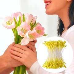 Winsyison 800pcs Double Heads Stamens for 2mm tip, 59mm length, Yellow-800pcs