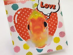 Uozura Fish Heads Stickers Book 274 Seal Book Cute From Japan Fast Shipping