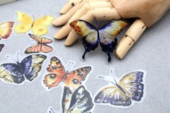 yellow butterfly sticker | yellow black butterfly beautiful themed PET