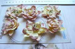 Wild PEACH ORCHID & ROSE Mix – 3 x 2 Each Flowers PAPER 50-55mm Manor H ConA