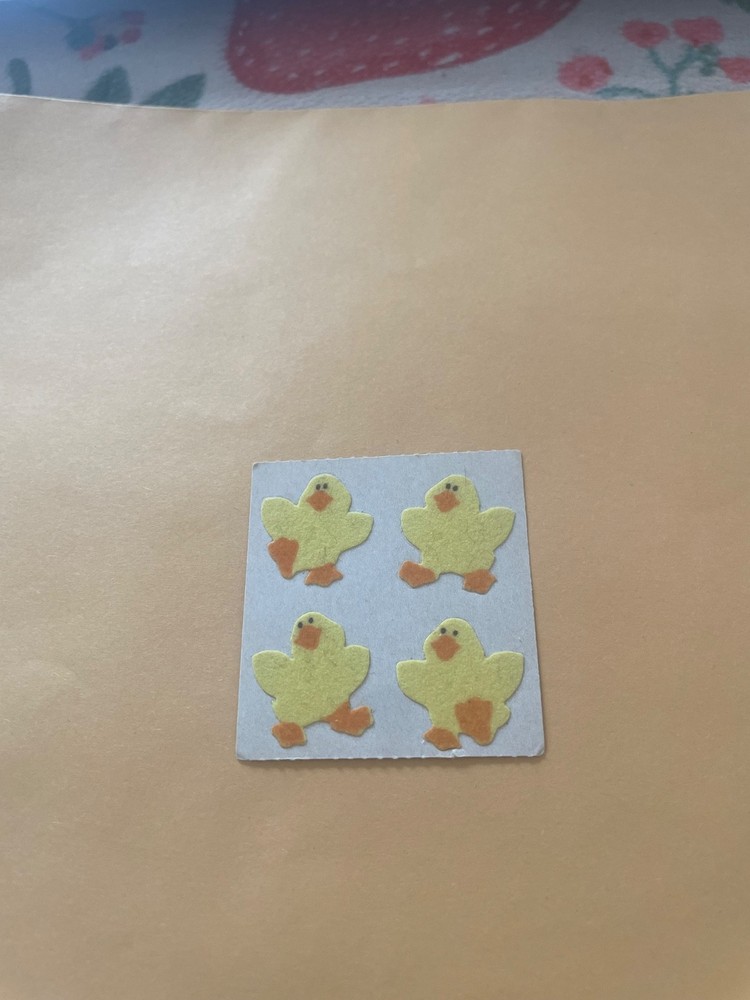 Vintage 1980s Sandylion Brown Backing Chicks Stickers