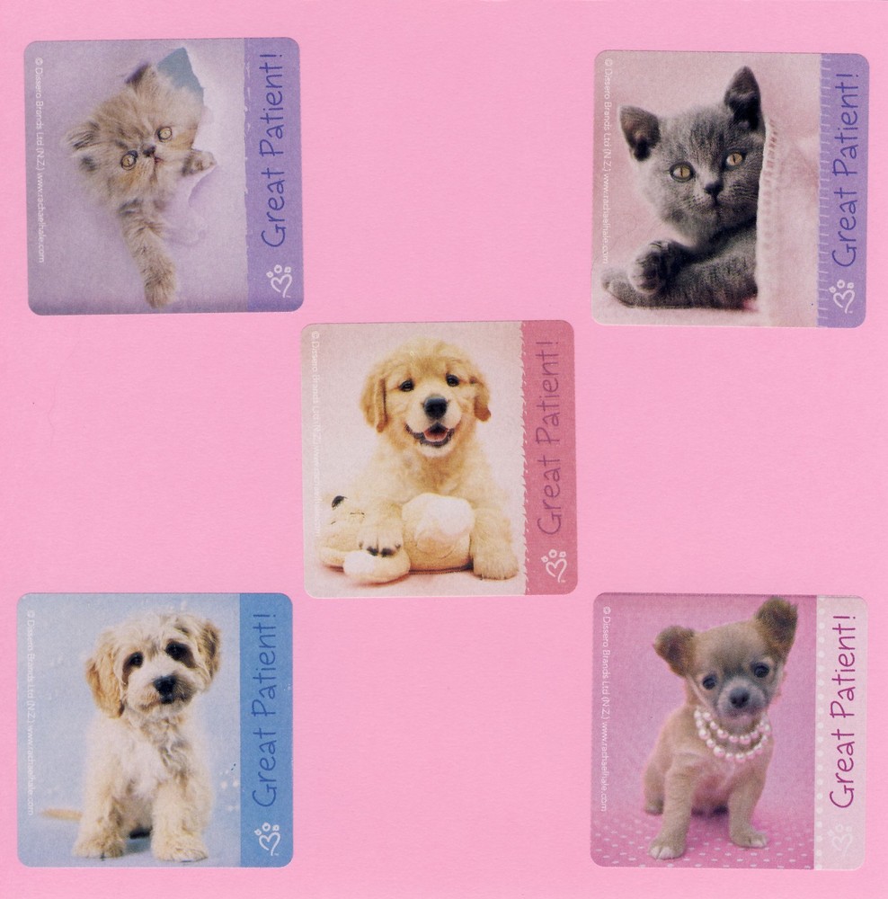10 Rachael Hale Patient – Large Stickers – Rewards – Dog, Puppy, Cat, Kitten