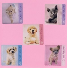 10 Rachael Hale Patient – Large Stickers – Rewards – Dog, Puppy, Cat, Kitten