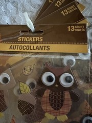 Lot Of 52 Fall / Autumn Owls Pumpkins And Leafs Stickers New In Package Of 13