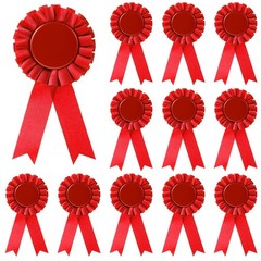 Blank Award Ribbon 12 Pieces Red 1st Place Rosette Medal for Competition