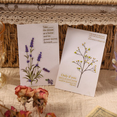 6Pcs Natural Journal Stickers PET Sticker Paper Scrapbooking Material Scrapbook