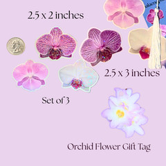Orchid Flower Sticker Bundle, Large Stationary Set of 7, Sticker Sheets, Holo