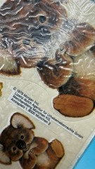 VTG NEW BSB Aufkleber Beaver & Koala Sticker Sheet 1979