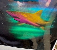 1992 HOLOGRAPHIC SHARK STICKER with DIVER IN BACKGROUND-GREAT DEPTH-GREAT COLORS
