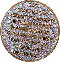 1 Year AA Medallion Reflex Birthday Funfetti Silver Glitter Gold Plated Chip