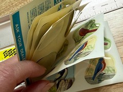 Vintage Dennison Mid Century Wild Bird Seals Stickers Booklet 36 Seals Complete