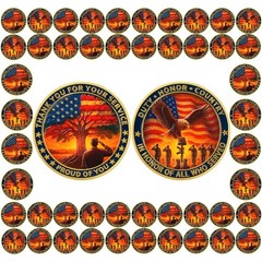 50 Pcs Eagle Veterans Challenge Coins Bulk – Thank You for Your Service Coins w