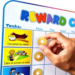 Magnetic Reward Chart for Kids, 127 Stickers, 30 Chores, Fridge Star Chart