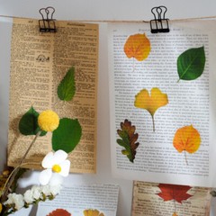 Dried Pressed PET Leaves Stickers 40PCS Maple Ginkgo Leaf Scrapbooking Diary DIY