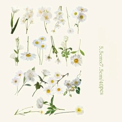 40pcs/set Natural Flower Sticker for Scrapbooking,Self-Adhesive Scrapbooking diy