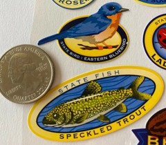 NEW YORK Stickers(11pc)Sticko•Beaver •Maple•State•Rose•Ladybug•Shell•Vacation