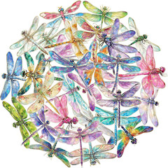 30PCS Holographic Dragonfly Stickers – Gold Foil Insect Clear Scrapbook Decals f