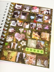 Cat Sticker Book, 30 Pages Over 800 Cute Die Cut Stickers with 3 Style 1
