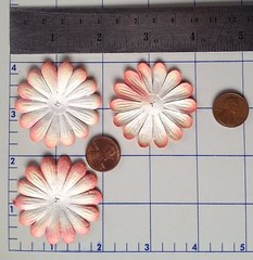 10 Flowers flower petals Apricot Peach Salmon handmade mulberry paper Daisy
