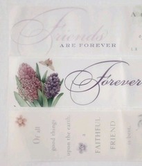 3pc Vellum Quotes 12″x2″ Non Adhesive Page Titles Embellishments Accents Lot#3