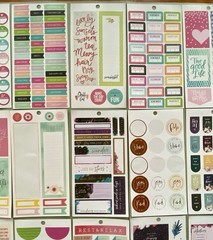 Lot Of 40 Sheets Happy Planner Complete & Incomplete! #3