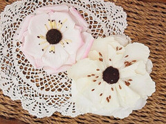 BEAUTY WV – 2 Flower Pk – PINK & IVORY Colours 80-100mm Manor House ConA