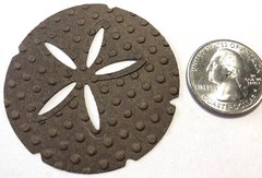 LG. SAND DOLLAR Die-Cuts(6pc)Beach •Shells•Ocean•Star•Sea•Shore•Sand Creatures