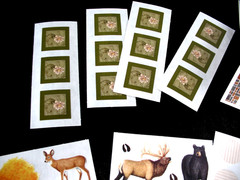 CREATIVE MEMORIES NEUTRAL SNAP PACK; NEW IN PACKAGE + parts and Forest Wildlife